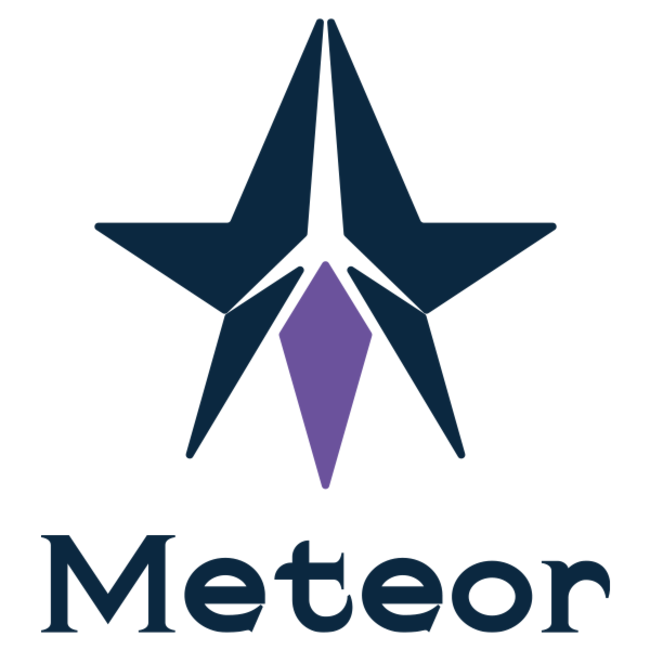 日本一apexプロチームが新チーム Meteor として復活 運営会社はストリーマーも募集 n Eスポーツ部 高校eスポーツを応援するニュースサイト